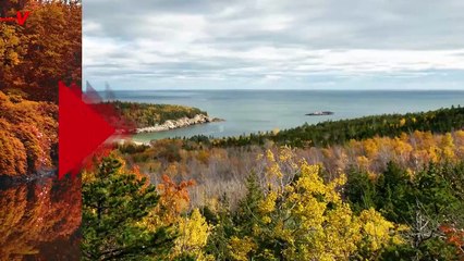Why You Might Want to Think Twice About Raking Up All of Your Leaves