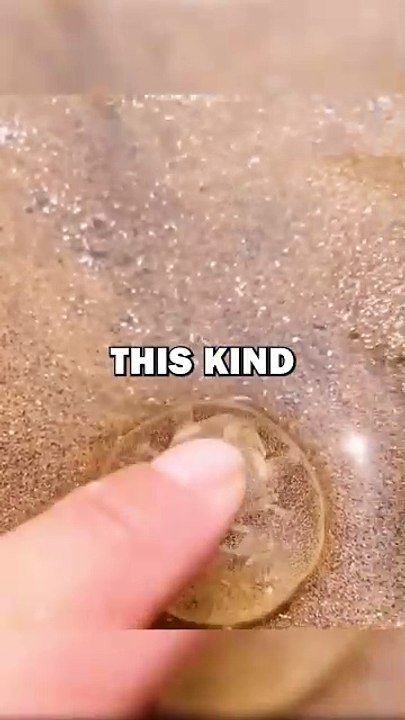 RESCUING CRAB! #animals #cuteanimals #animalstories #pets #animalrescue