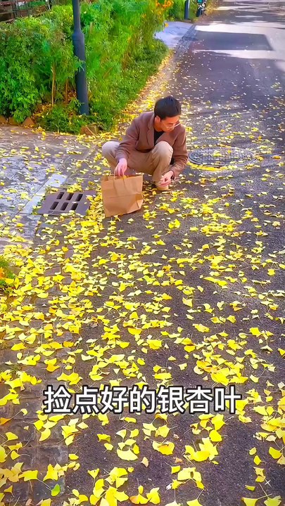 Let’s have a unique autumn romance!