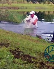Video: La valiente reacción de un hombre que salvó a su perrito de tres meses de un caimán