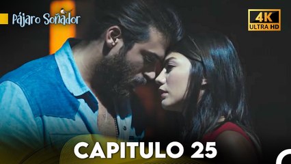 Pájaro Soñador Capítulo 25 (Doblado En Español 4K)