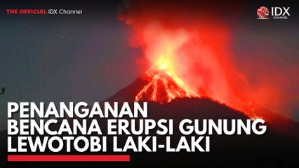 Penanganan Bencana Erupsi Gunung Lewotobi Laki-Laki