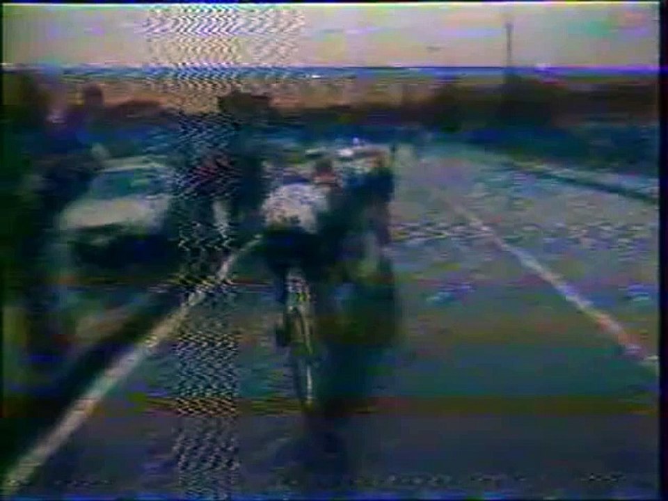 HET  VOLK   - 1981  -