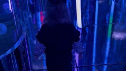 Little girl navigates mirror maze and collides with her own reflection
