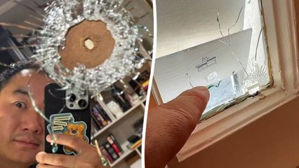 Man protected by stray bullet shooting through window - by IKEA bookcase