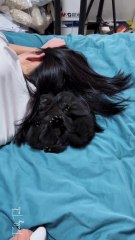 What a Beauty from Black