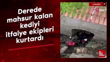 Karabük'te derede mahsur kalan kediyi itfaiye ekipleri kurtardı