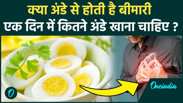 Egg Heart Disease Risk : अंडा खाने से होता है हार्ट अटैक, जानें एक दिन में कितना अंडा खाना चाहिए ?