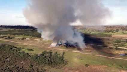 Gorse burning on Greenham Common November 2024
