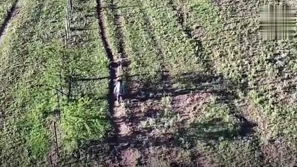 Tiene 3 años, la buscaban como a Loan y la hallaron gracias a un particular rastrillaje