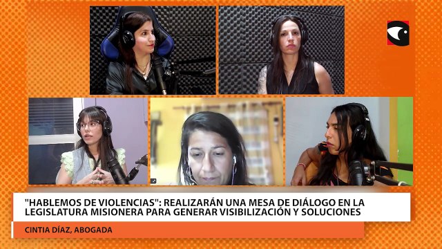 Hablemos de violencias : este 15 de noviembre realizarán una mesa de diálogo en la Legislatura misionera para generar visibilización y soluciones