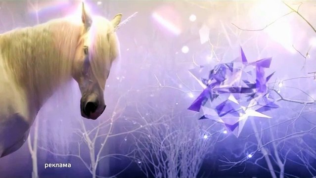 Рекламные заставки (ТВ-3 Украина, 2013-2014 НГ)