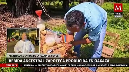 Conservación de la 'Taberna', una bebida ancestral de los zapotecas en Oaxaca