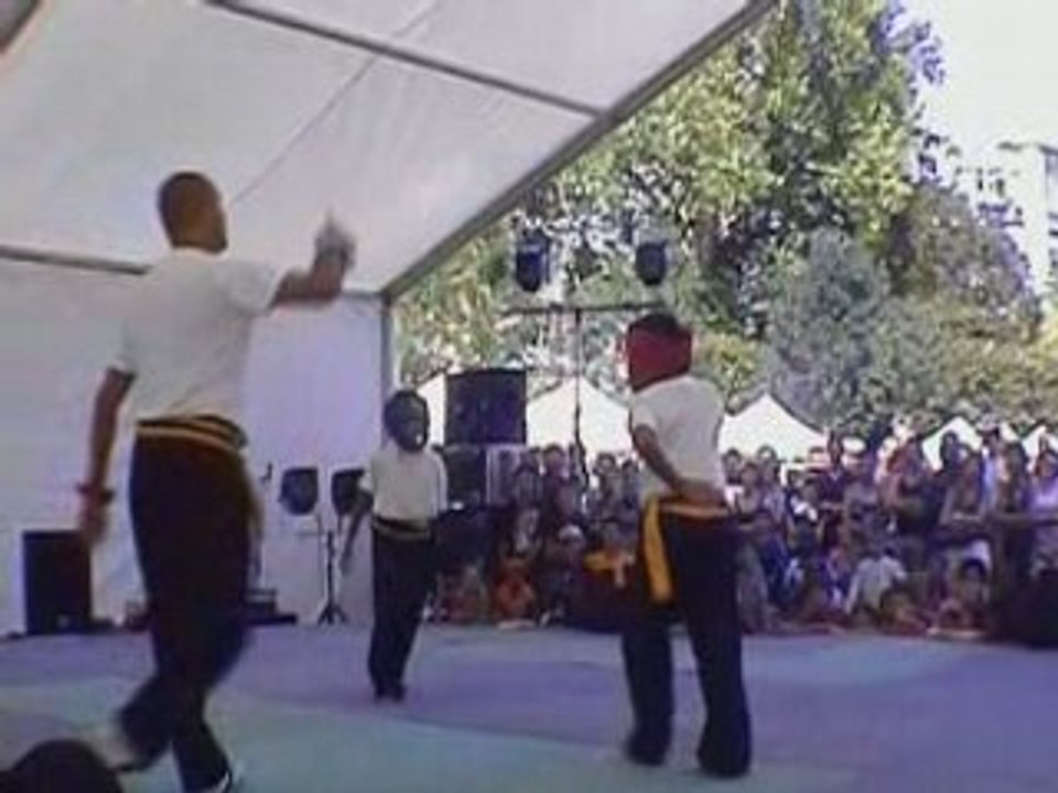 Démonstration Boxe Chinoise 2006