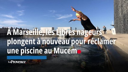 À Marseille, les Libres nageurs plongent à nouveau pour réclamer une piscine au Mucem
