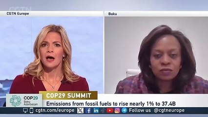 COP29 Summit: "Government ambitions will set the framework"