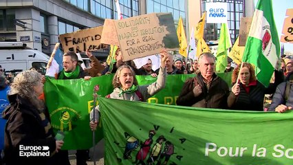 Los agricultores toman las calles de Bruselas contra el acuerdo de libre comercio UE-Mercosur