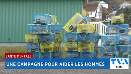 TVA Nouvelles CHAU 12h 13 novembre 2024