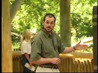 👉 Criaturas Incríveis – Provas da Criação Divina Que Desafiam a Evolução!