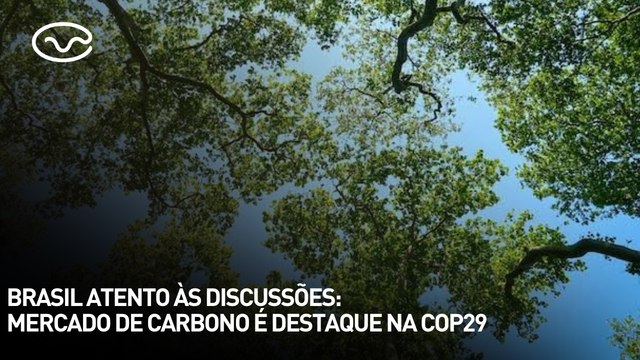 Brasil atento às discussões: mercado de carbono é destaque na COP29