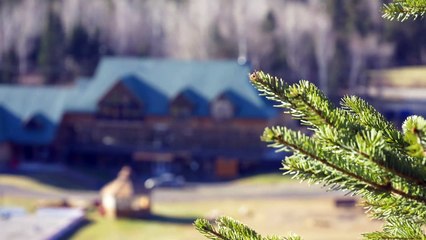 13 nov TOPO LPM defis Pin rouge