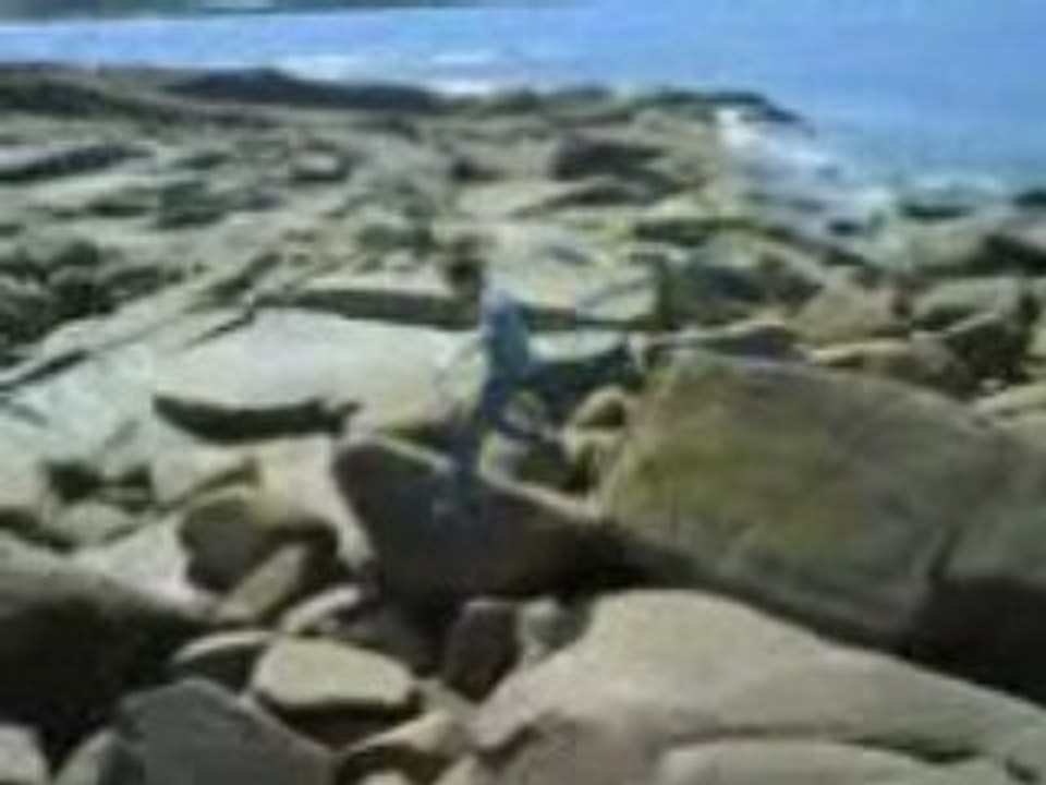 Saut de rocher 3