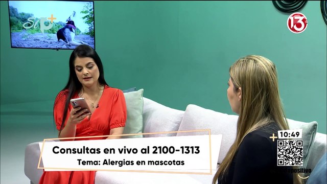 Entrevista - Alergias en mascotas