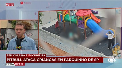 Pitbull ataca três crianças em parquinho de SP