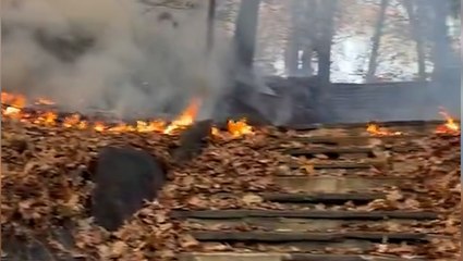 Wildfire breaks out in New York City park — in November