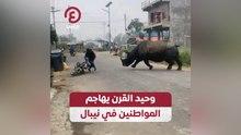 وحيد القرن يهاجم المواطنين في نيبال