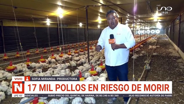 Avicultores piden al Gobierno priorizar al sector en el abastecimiento de diésel