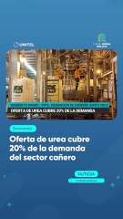 Oferta de urea cubre 20% de la demanda del sector cañero