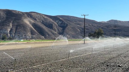 Wildfires Engulf Ventura County