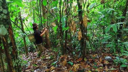 EP.112 - Faça sal de um fluxo de água especial