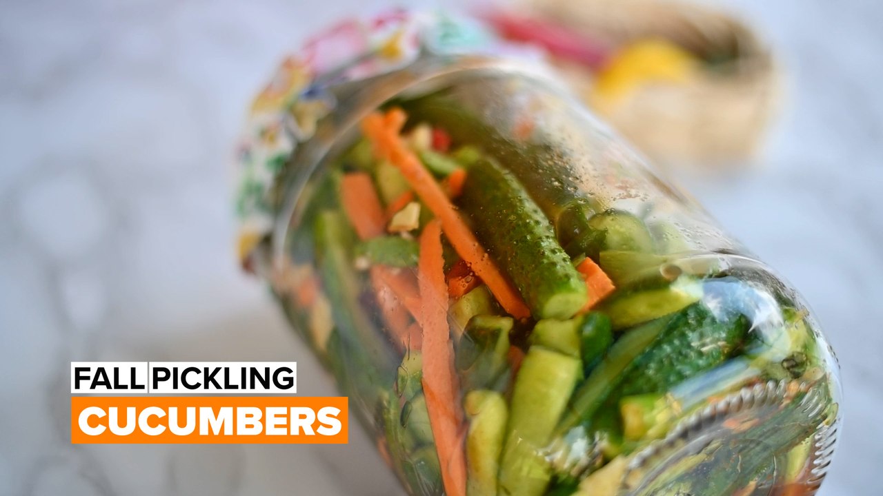 Fall Pickling: Kimchi Cucumbers