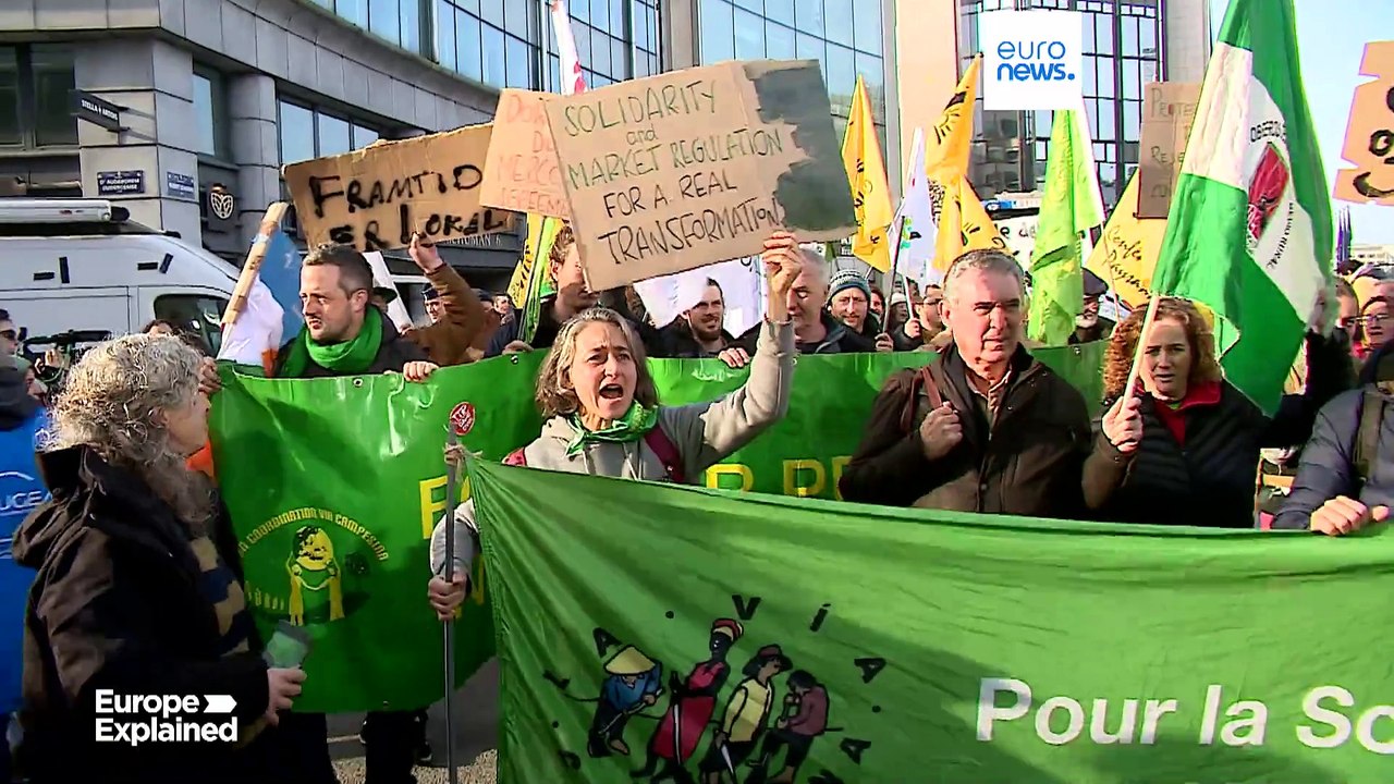 Kommt das EU-Mercosur Freihandelsabkommen aus der Sackgasse?