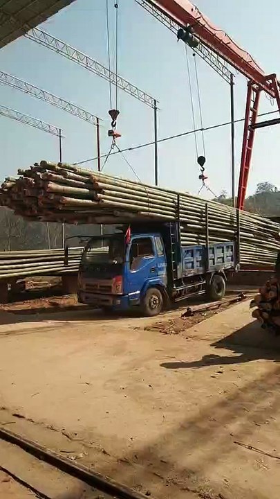 A truck loaded with bamboo passed in front of us. Transport bamboo to the factory. It can be sold for 800 yuan per ton