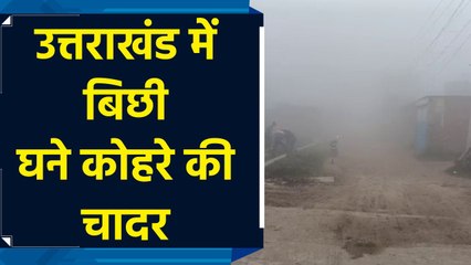 अचानक Weather Change से कोहरे के आगोश में आया पूरा शहर