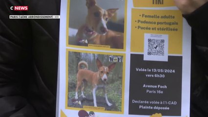 Le fléau des vols d'animaux