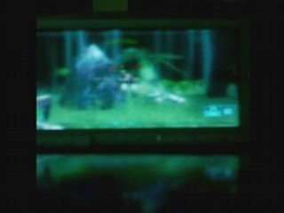 Ghost Recon Advanced Warfighter PSP- Jungle Hills Part 1