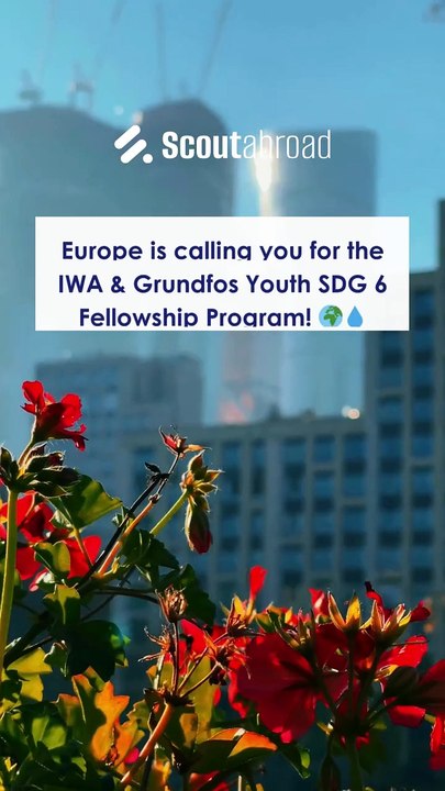 Fellowship program - Scoutabroad