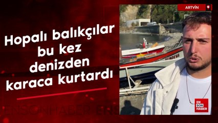 Hopalı balıkçılar bu kez denizden karaca kurtardı