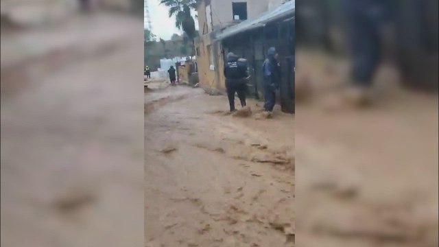 El rescate de 41 caballos y 39 perros atrapados por la DANA de Málaga queda grabado para los amantes de los animales