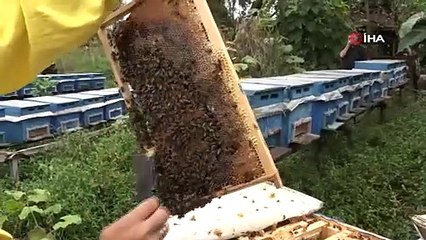 Karadenizli girişimci kendi mesleklerini bırakıp çocuk sevdasıyla kendi işinin patronu oldu