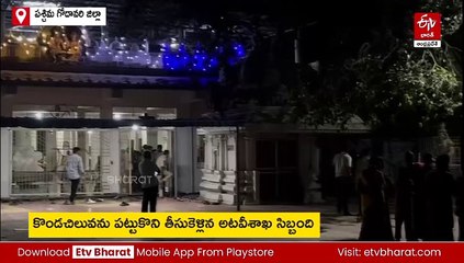పెళ్లి మండపంలో హల్​చల్​​ చేసిన కొండచిలువ