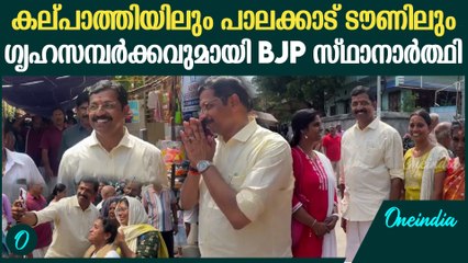 പാലക്കാട് ടൗണിൽ ഗൃഹസമ്പർക്കവുമായി സി.കൃഷ്‌ണകുമാർ