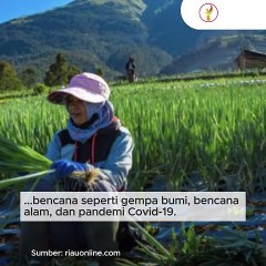 Simak Aturan Lengkap Penghapusan Utang UMKM, Petani Hingga Nelayan