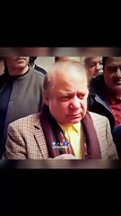 باکمال لوگ لاجواب سروس