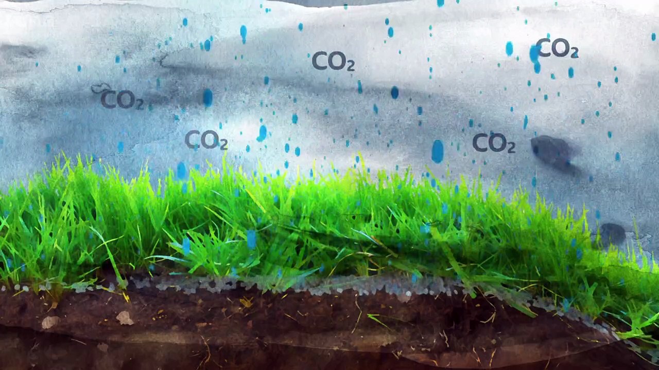 Landward episode 22 2024