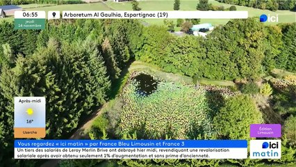 14/11/2024 - ICI Matin France Bleu Limousin en vidéo